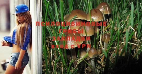 спиды Баксан