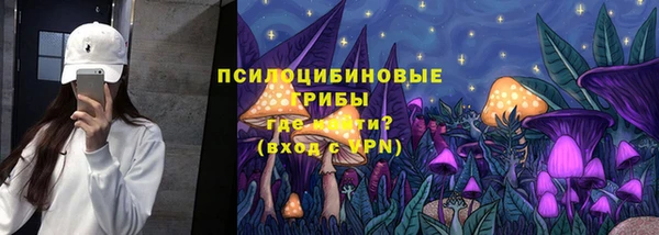стафф Арсеньев