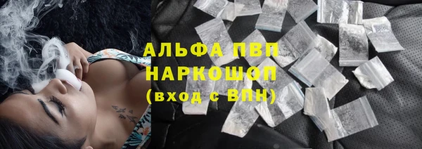 стафф Арсеньев