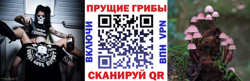 Псилоцибиновые грибы GOLDEN TEACHER  хочу наркоту  blacksprut зеркало  Ленск 